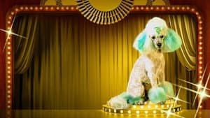 Haute Dog — foto 5