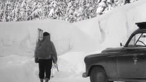 White Peril — foto 1