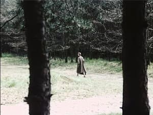 Episodio 9