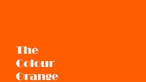 The Colour Orange — foto 6