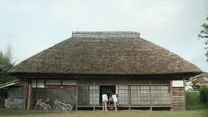 天然☆生活 — foto 1