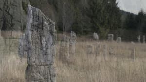 Šume šume — foto 4