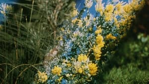 Australian Bush — foto 8