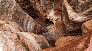 Into the Grand Canyon — foto 7