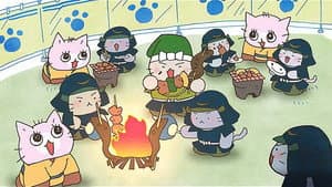 Episodio 26