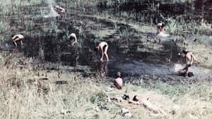La Canta delle Marane — foto 1