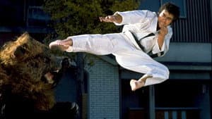けんか空手 極真無頼拳 — foto 1