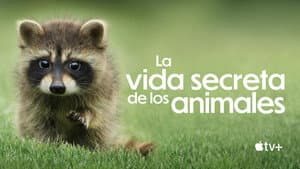 La vida secreta de los animales — foto 4