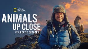 Animales de cerca con Bertie Gregory — foto 11