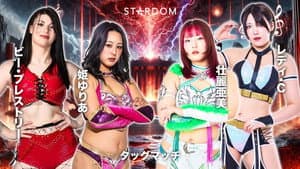STARDOM in HAMAMATSU 2026 Apr. — foto 8