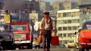 Şark Bülbülü — foto 2