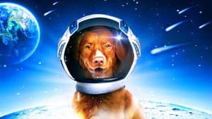 My Dog the Space Traveler — foto 2