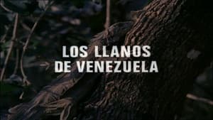 Episodio 13