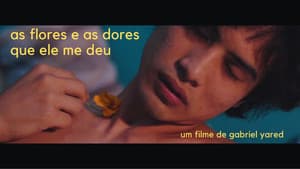 as flores e as dores que ele me deu — foto 1