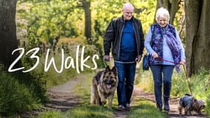 23 Walks — foto 7