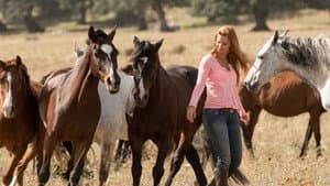 Ostwind 3 - Aufbruch nach Ora — foto 9