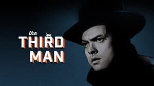 The Third Man — foto 3