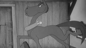 Porky's Prize Pony — foto 1