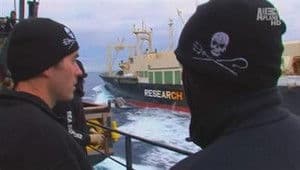 Episodio 7