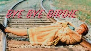 Bye Bye Birdie — foto 5
