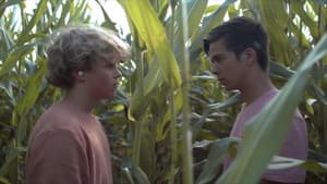 Desire: The Short Films of Ohm — foto 1