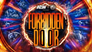 AEW x NJPW Present Forbidden Door 2024 — foto 3