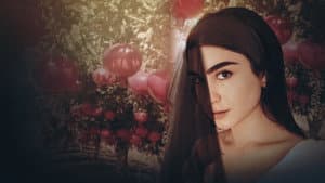 Pomegranate — foto 1