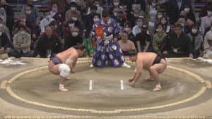 大相撲どすこい研 — foto 1