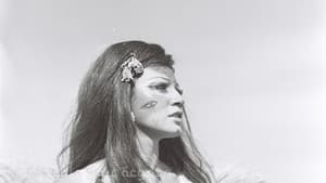 قطط شارع الحمرا — foto 7