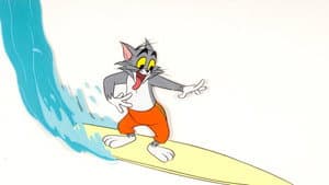 Surf-Bored Cat — foto 1