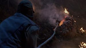 La mancha voraz — foto 11
