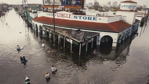 Los Hijos del Huracán Katrina — foto 2