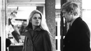 Jussi Pussi — foto 1
