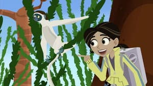 Aventuras con los Kratt — foto 7