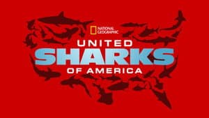 United Sharks of America — foto 5