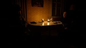 Сірі бджоли — foto 7