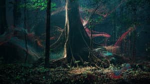 Breathing with the Forest — foto 1
