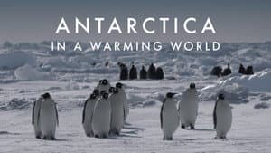Antarctica in a Warming World — foto 4