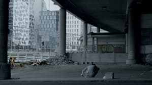 Svenskjävel — foto 11