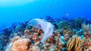 A Plastic Ocean — foto 6