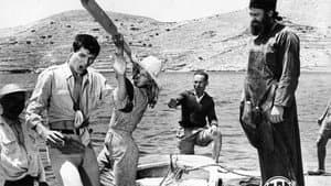 Αλίκη αγάπη μου — foto 2