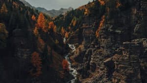 Voir l'automne, une saison en France — foto 5
