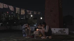 자리 — foto 4