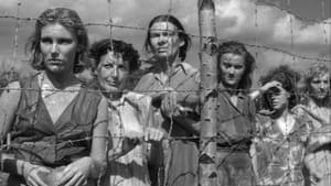 The Camp on Blood Island — foto 6