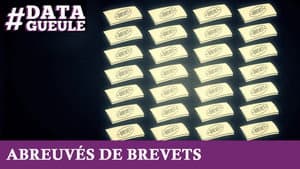 Episodio 12