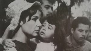 Paylaşılmayan Sevgili — foto 2