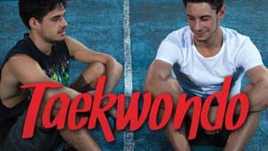 Taekwondo — foto 4