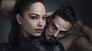 Bella y Bestia — foto 11