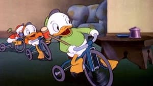 Los sobrinos de Donald — foto 3
