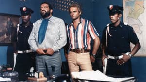 ...più forte ragazzi! — foto 12